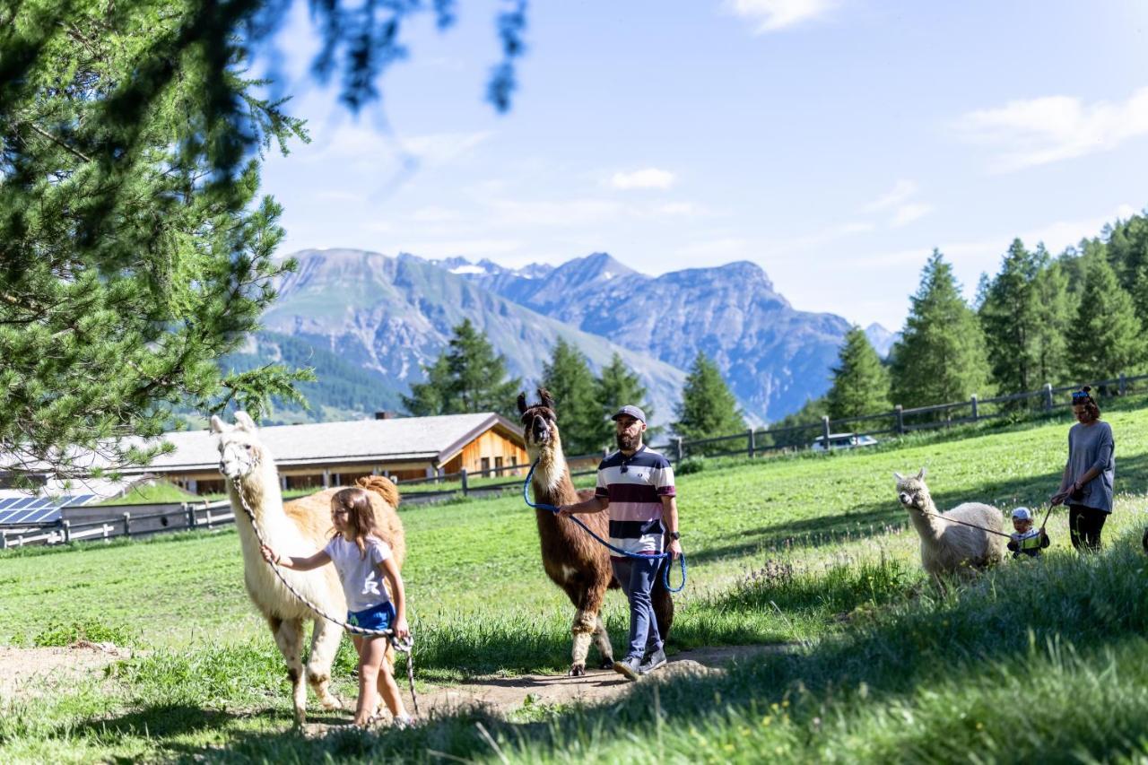 La Tresenda Hotel And Mountain Farm リヴィーニョ エクステリア 写真
